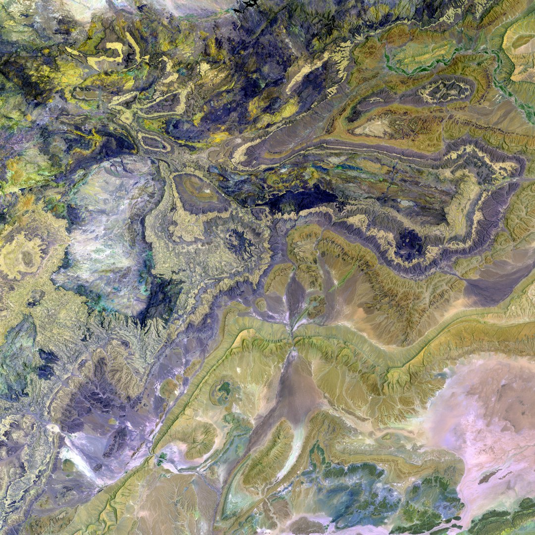 Seasonal Specialties